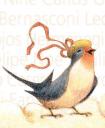 golondrina.jpg