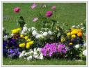 jardin.jpg